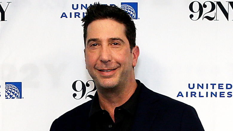 David Schwimmer on the red carpet.