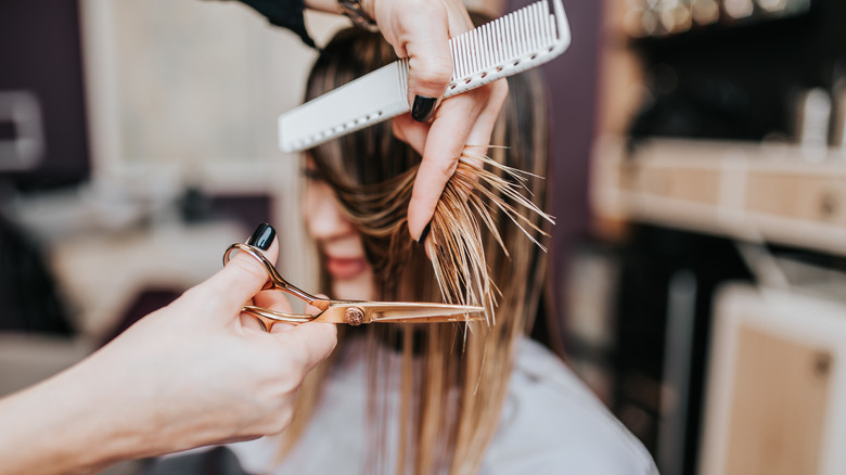 Woman getting a haircut