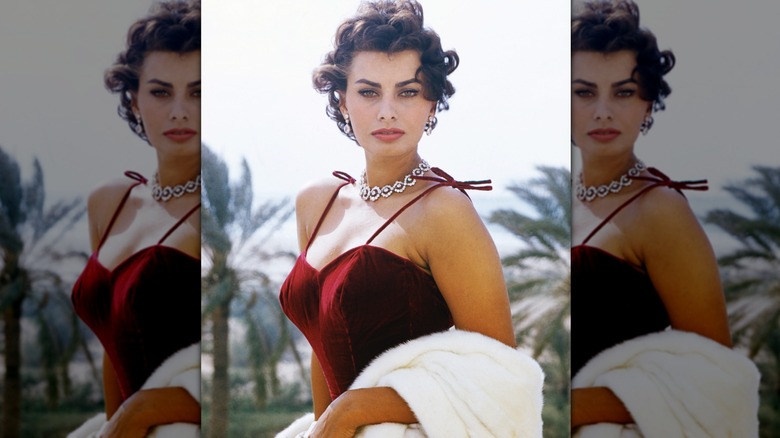 Sophia Loren photographed in 1965