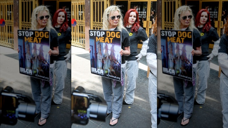 Kim Basinger and Priscilla Presley protesting