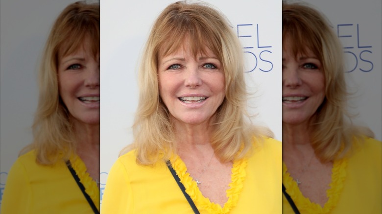 Cheryl Tiegs smiling and posing.