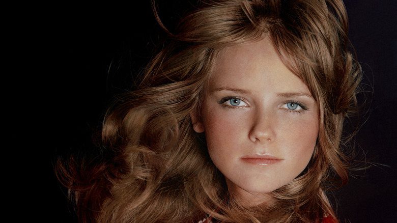 Closeup of Cheryl Tiegs posing.