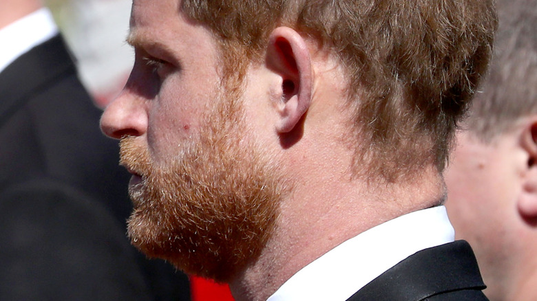 Princes William and Harry walking