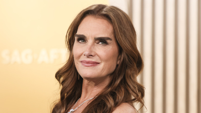A close-up photo of Brooke Shields gazing at the camera at a red carpet event