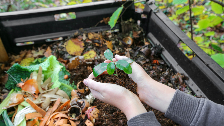 Hands over a composter filled with organic waste