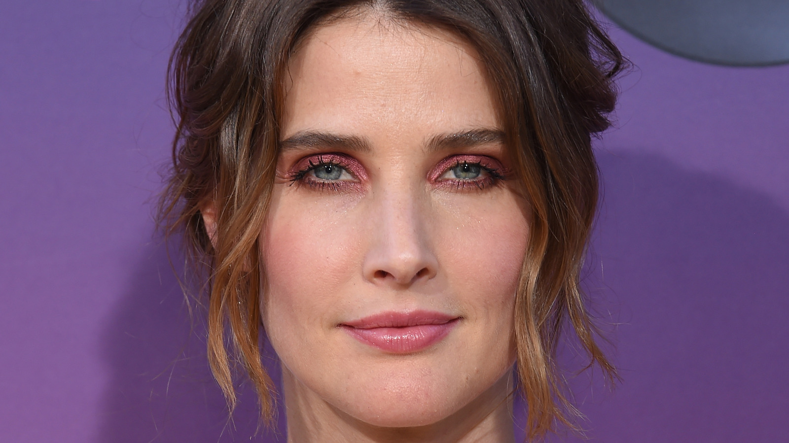What Cobie Smulders Has Been Doing Since HIMYM Came To An End