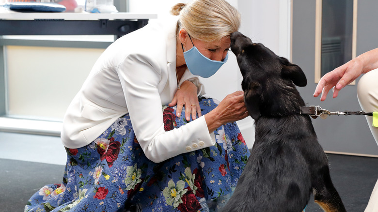 Duchess Sophie on a visit with Dogs for the Blind