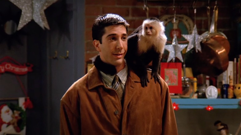 David Schwimmer with monkey