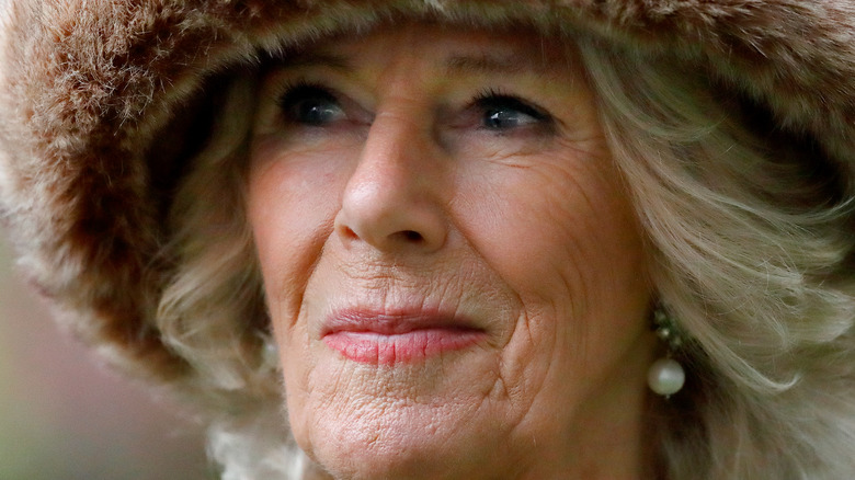 Camilla Parker Bowles attending a horse race