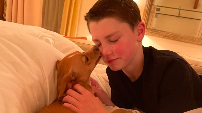 A cute dog kissing Ben Travolta as they lie in bed