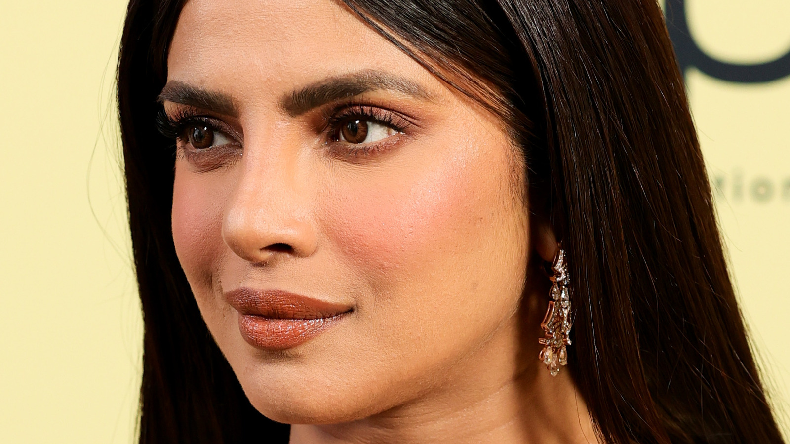 What Do Priyanka Chopra's Tattoos Mean? What Do Priyanka Chopra's Tattoos Mean?