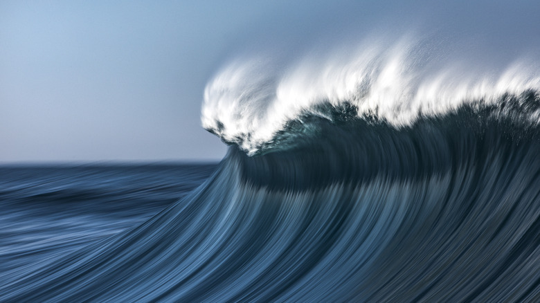A large wave