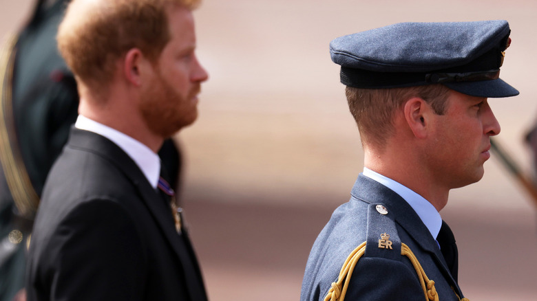 Prince Harry and Prince William at Queen Elizabeth's funeral