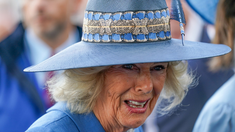 Queen Camilla at an event in 2026 wearing a blue wide-brimmed hat