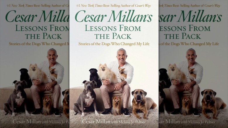 The cover for Cesar Millan's Lessons From The Pack: Stories of the Dogs Who Changed My Life, featuring Cesar sitting with a bunch of dogs