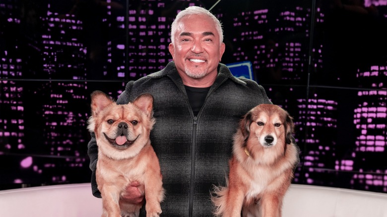 Cesar Millan holding two dogs, one smiling and one looking grumpy