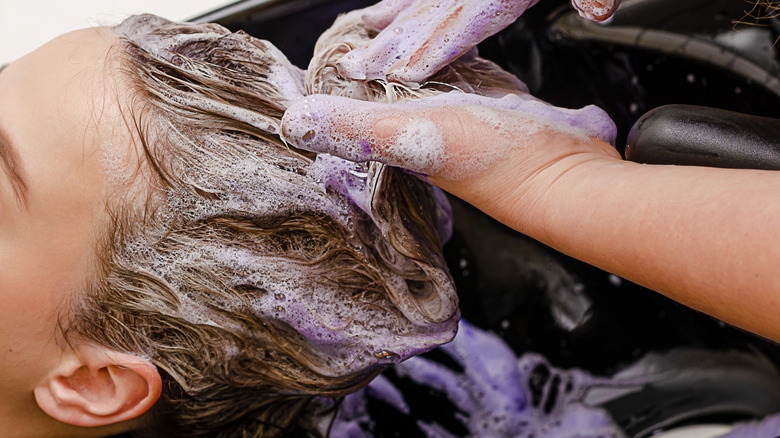 Colorist applying purple shampoo on client's hair