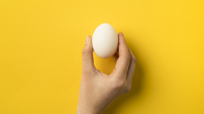 hand holding egg