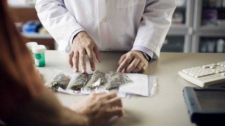 Hands sorting marijuana bags