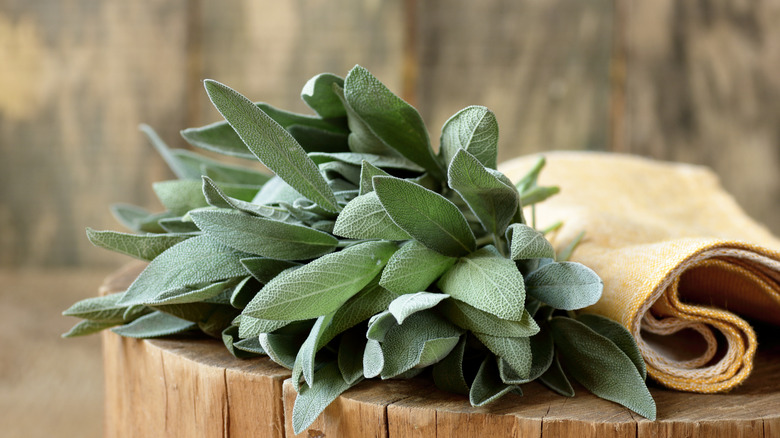 Sage tuft on wooden counter