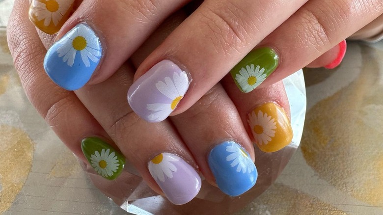 woman with gel manicure, woman with plexigel manicure