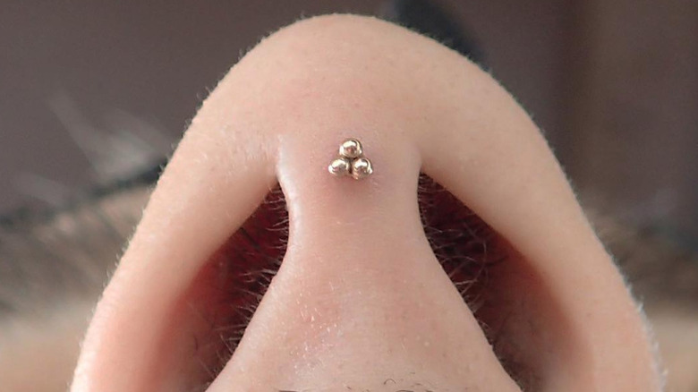 septril piercing in nose