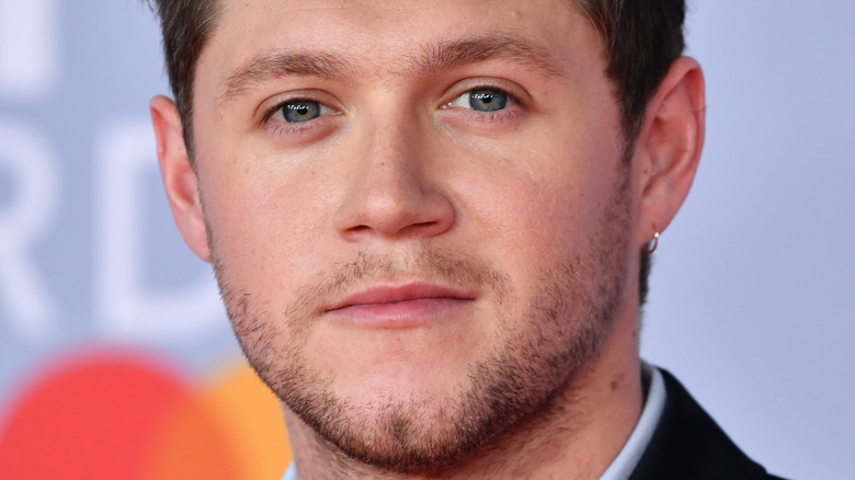 Niall Horan on the red carpet 