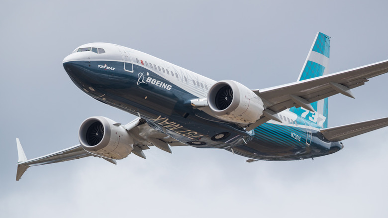 Passenger airplane in flight