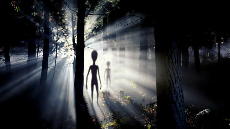 Aliens in a dark forest