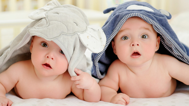 Adorable twin babies