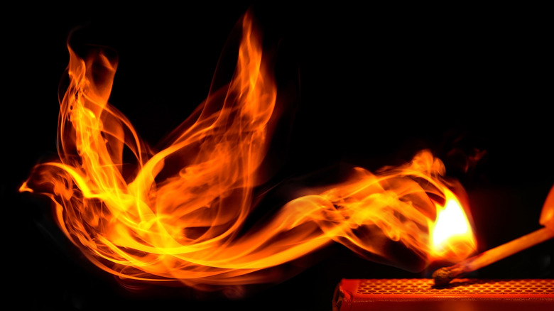 Fire bird