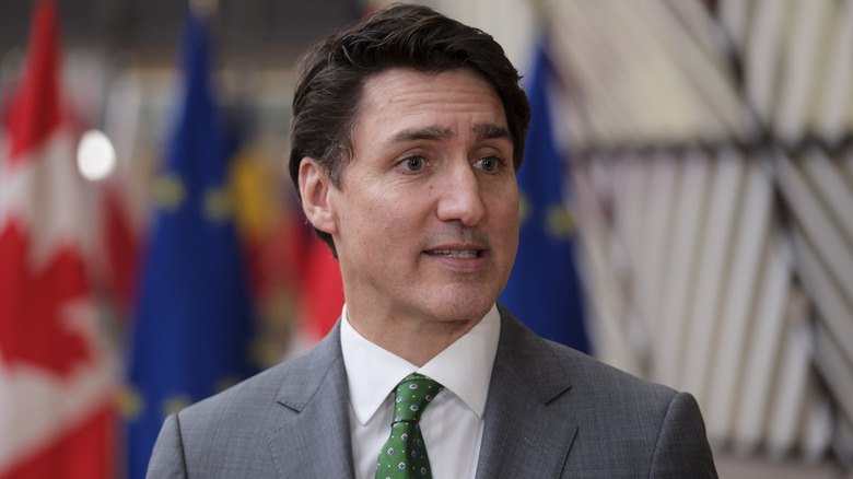 Justin Trudeau grimacing in a grey suit with a green tie
