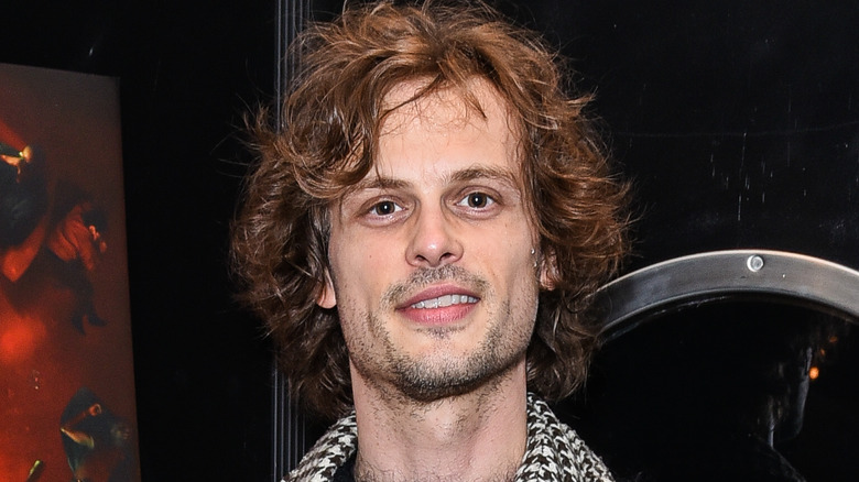 What Matthew Gray Gubler Has Been Doing Since Criminal Minds Ended