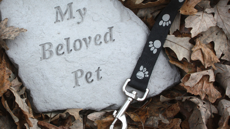Pet memorial stone next to a leash