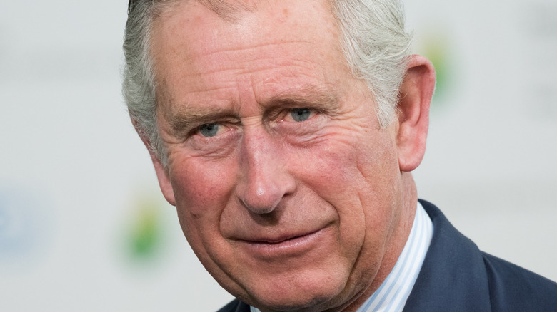 Prince Charles looking off to the side