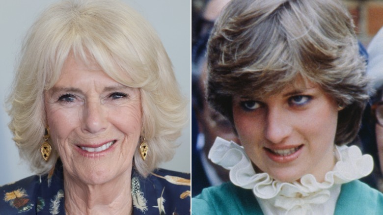Camilla, Princess Diana smiling