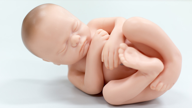 simulated newborn baby fetus