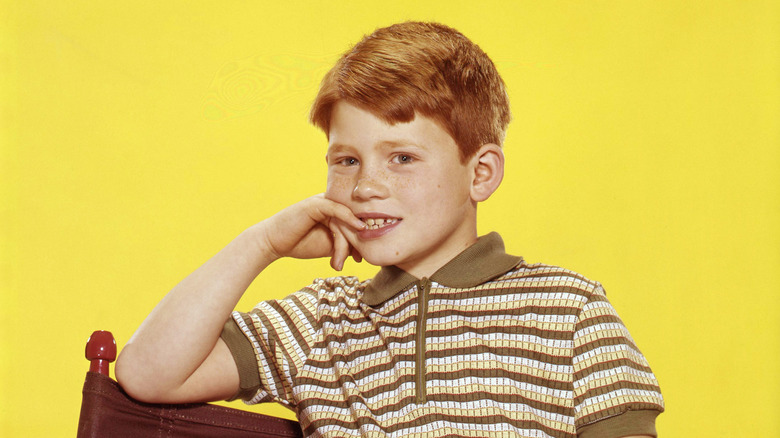 American child actor and future film director, Ron Howard, circa 1962