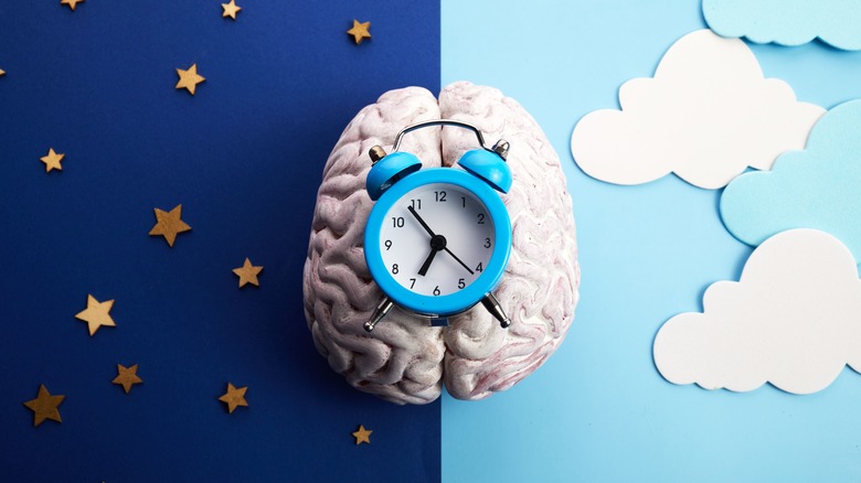 a clock on a brain