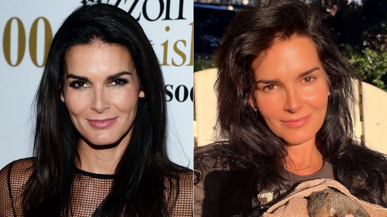 Split image of Angie Harmon in 2016 and 2025