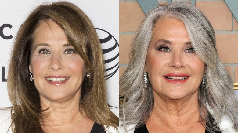 Split image of Lorraine Bracco in 2015 and 2025