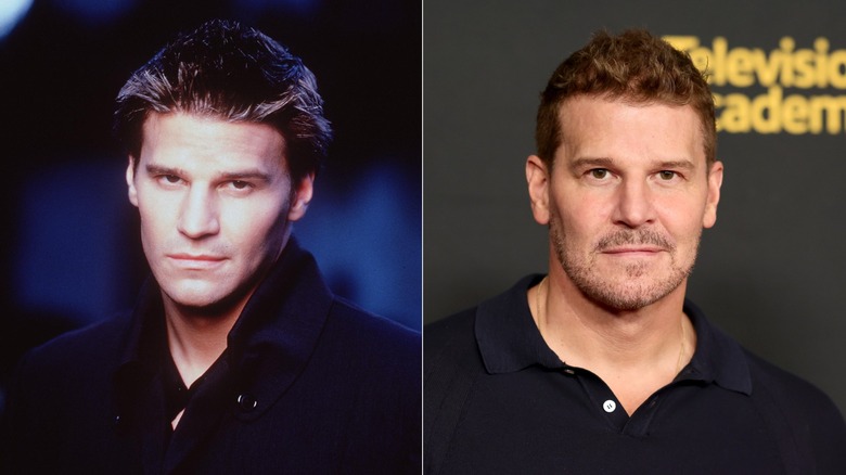 David Boreanaz poses for a portrait for "Angel" & attending the "Bones" 20th anniversary in 2025