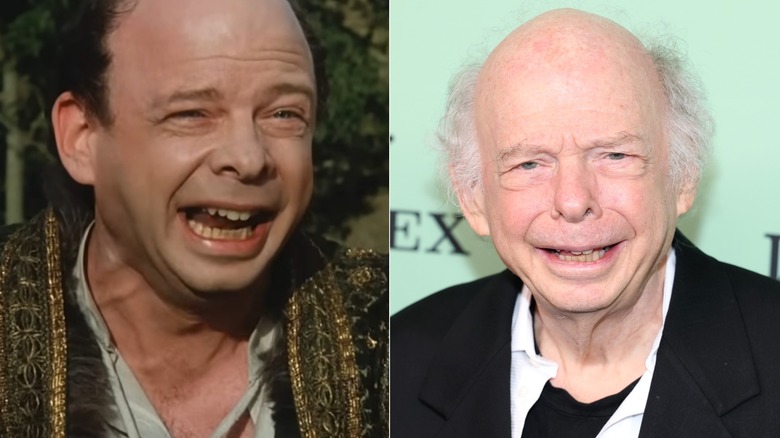 Split photo by Wallace Shawn as Vizzini versus smiling on the "Jay Kelly" red carpet in 2025