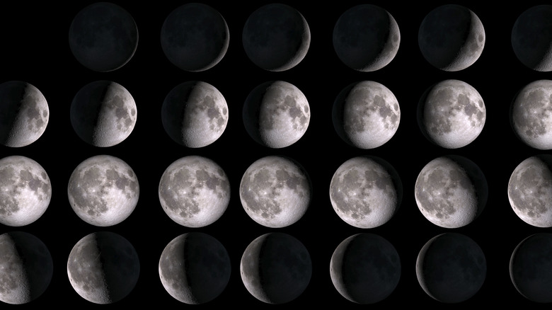 Phases of the moon