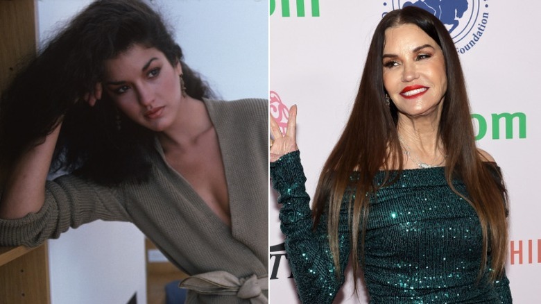 Split image of Janice Dickinson in the 1970s and 2025