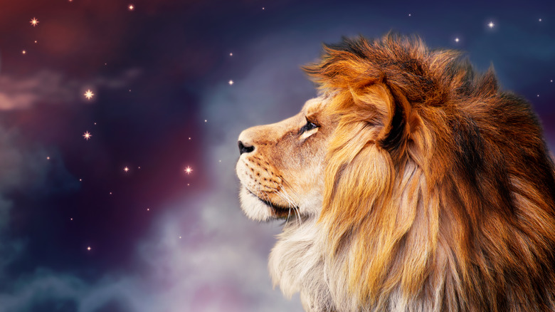 The Leo lion in front of a starry sky 