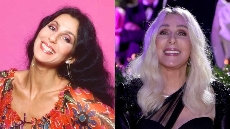 Split image of Cher in the 1970s on the left, Cher in the 2020s on the right