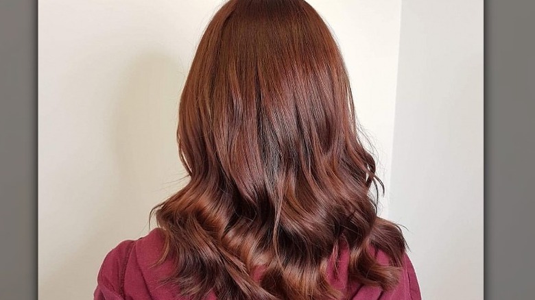 short red velvet hair