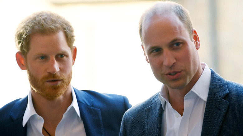 Prince harry and prince william