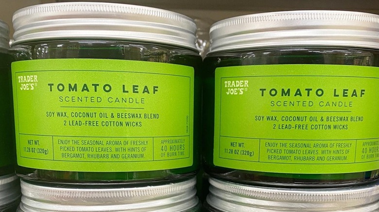 Trader Joe's Tomato Leaf Scented Candle 